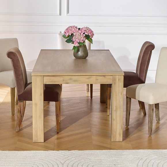 ENZO Extendable Dining Table - Contemporary style, butterfly leaf, seats 8/10