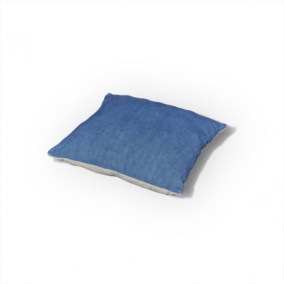 Anna Maria Coussin Anna Maria Coussin