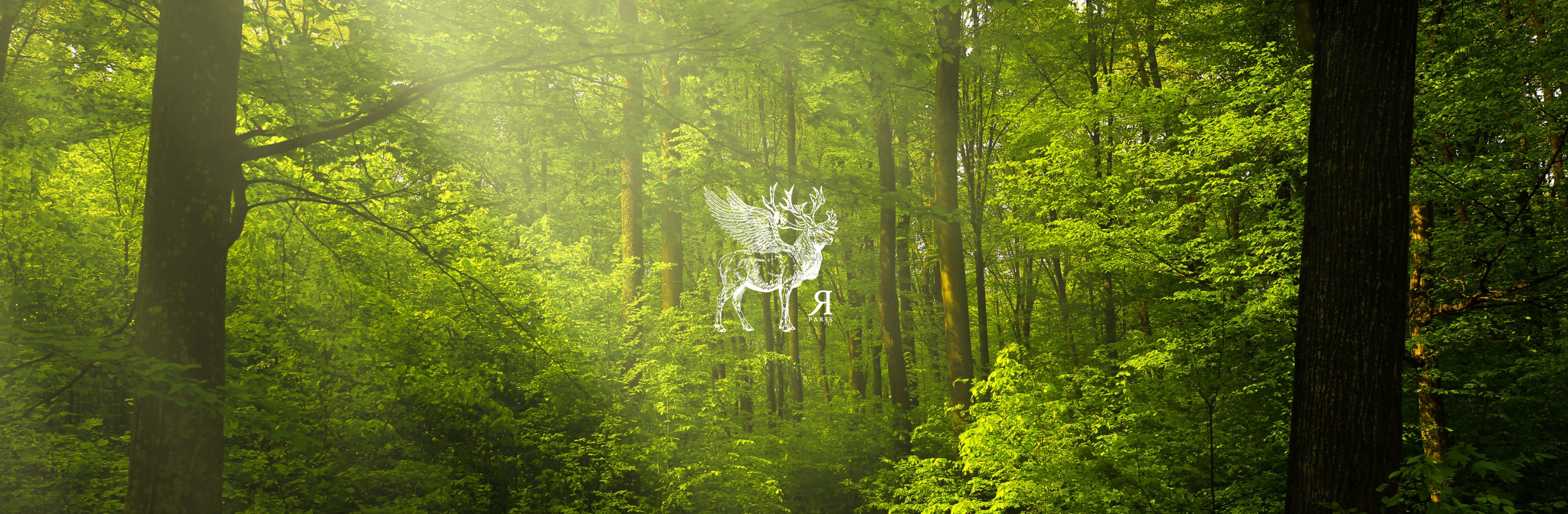 Labdeco Unsere CSR-Verpflichtungen